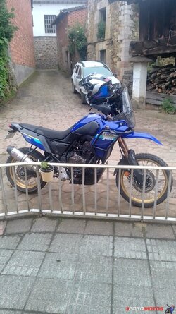 IMG-20250614-WA0009.jpeg