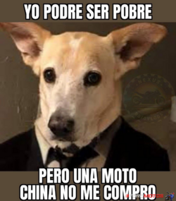 1753993498171.png