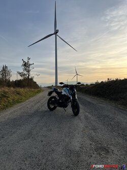 IMG_4653.jpeg
