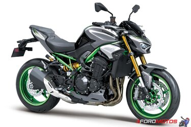 Kawasaki-Z900-2025-1.jpg