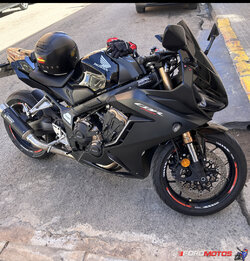 IMG_3204.jpeg