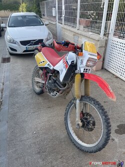 IMG_0717.jpeg