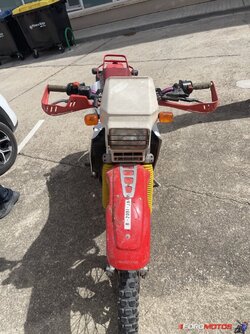 IMG_0590.jpeg